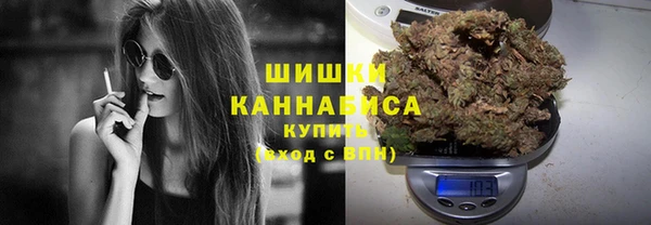 ПСИЛОЦИБИНОВЫЕ ГРИБЫ Куйбышев