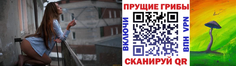Купить закладки  Надым  Псилоцибиновые грибы мицелий 